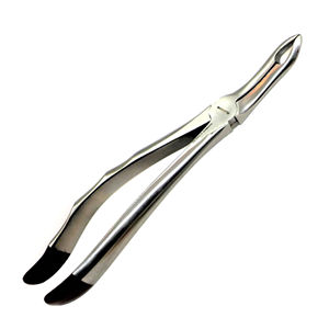 Kit de forceps d'extraction dentaire en acier inoxydable, outils chirurgicaux réutilisables pour la chirurgie buccale par Grip Surgical - Product Image 5