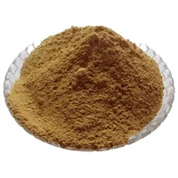Herbojit, best-seller, extrait d'Ashoka 99% naturel, poudre de saraca d'Inde de qualité supérieure, cultivée à l'état sauvage, emballée sous vide dans un fût en HDPE