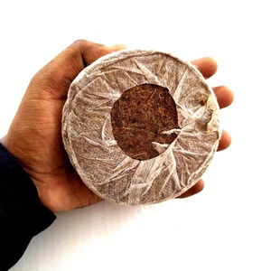 100% PELLETS/PLUGUES/DISCOS DE FIBRA DE COCO ORGÁNICA PARA UN DESARROLLO PRECOCE DE LAS PLANTAS CON MÉTODO DE GERMINACIÓN DE SEMILLAS SIN SOLO - Product Image 1