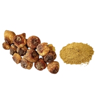 Poudre de champignon Agaricus Blazei 100% pure