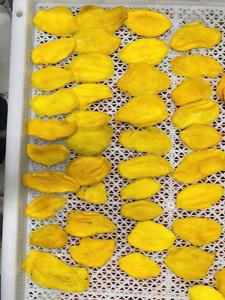 Mangues séchées à l'air, tranchées, goût sucré et acidulé, emballées sous vide, saveur originale préservée, pour garniture de pâtisserie, du Vietnam - Product Image 5
