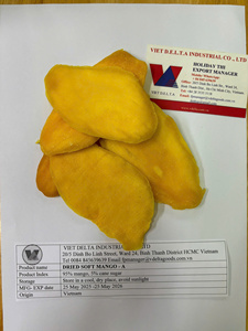Mango Seco Vietnamita de Primera Calidad a Precio de Fábrica |   Bolsa Doypack de Marca Privada OEM para Frutos Secos - Product Image 6