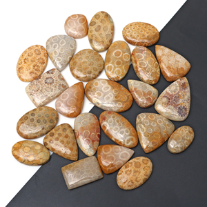 Cabochons de corail fossile de haute qualité, pierres naturelles pour bagues, colliers et artisanat décoratif - Product Image 2