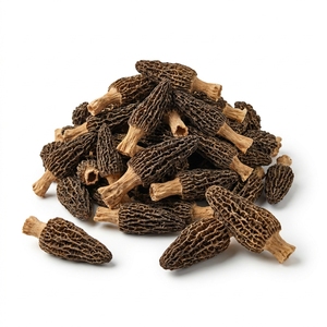 Morilles Sauvages Entières Séchées, Ingrédient Culinaire à Fort Arôme pour Risotto, Sauces et Plats Gourmands, Approvisionnement en Gros, Qualité Export - Product Image 1