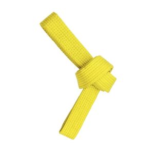 Ceinture jaune d'arts martiaux en coton pour le karaté et le taekwondo, ceinture de niveau débutant, équipement d'entraînement professionnel, ceinture de BJJ - Product Image 2