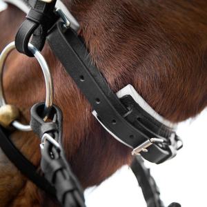 Arreos de cuero genuino para caballos Annabelle, brida de doma ecuestre de cuero a medida, estilo inglés y occidental, fabricante mayorista. - Product Image 3