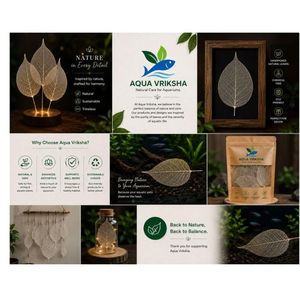 AQUA VRIKSHA Premium Natural Skeleton Bodhi Leaves for Crafts, Decoration, Resin Art & Floral Arrangements|Pack of 50 - Product Image 6