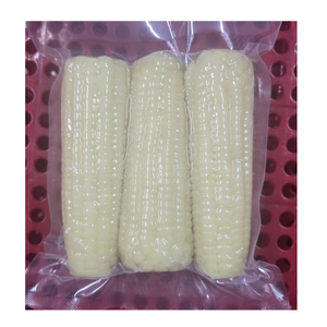 Fournisseur en gros de maïs sucré surgelé pour les épiceries et les chaînes de supermarchés - Product Image 3