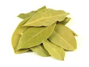 Dried AD Raw Bay <b>Leaf</b> Natural Spice <b>Light</b> Green Sliced Shape for Cooking Seasoning From Gujarat Origin MEGH EXIM Brand - Product Image 4
