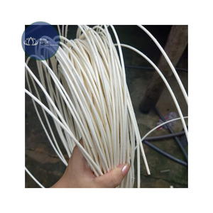 [DISPONIBLE] |   Diffuseur de parfum artisanal avec bâtonnets en rotin, bouteille d'huile essentielle, décoration d'intérieur, vente en gros Vietnam - Product Image 1