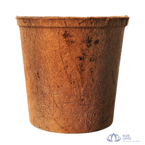 Maceta Ecológica Biodegradable de Diseño Cuadrado Minimalista de Fibra de Coco Natural para Plantas Verdes, Uso en Jardín, Sin Recubrimiento - Product Image 1