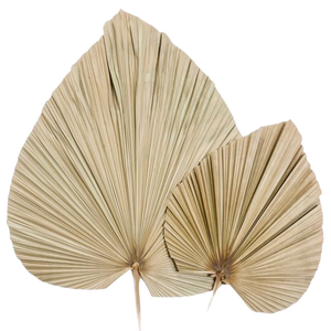 Flores Secas Decorativas Naturales y Orgánicas para el Día de la Madre, San Valentín y Navidad 2025 - Product Image 1