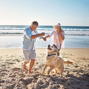 เครื่องรับสัญญาณฝึกสุนัขกันน้ำ IP67 ระยะไกลสูงสุด 3280 ฟุต พร้อมปลอกคอสั่นสะเทือน ส่งเสียงเตือน และช็อตไฟฟ้า สำหรับฝึกสัตว์เลี้ยง - Product Image 5