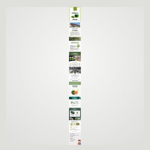 Koreanische Schönheitspflegeprodukte K-Beauty Korea Chlorella-Tabletten 300mg x 500 Tabletten 1-Monats-Vorrat Hergestellt in Korea - Product Image 6