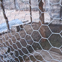 Grillage robuste pour cages à volailles, enclos à lapins et protection agricole
