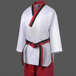 New Arrival Women's <b>Karate</b> Training Uniform High Quality Taekwondo Suit at Price Hot Selling Cheap Martial Arts Wear - Product Image 2