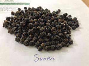 Poivre noir de qualité supérieure, piment de la Jamaïque, origine Vietnam, épice séchée brute AD, 50 kg, certifié HACCP, Phalco JSC - Product Image 6