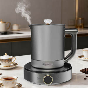 Vente en gros de bouilloire électrique portable en titane de haute qualité bouilloire de santé pour le thé bouillon Hervidor De Agua Electrico - Product Image 2