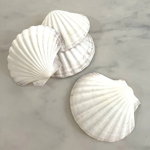 Suministros para manualidades, conchas de vieira blancas, oferta con descuento, conchas marinas naturales al por mayor. - Product Image 4