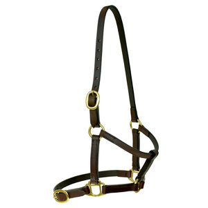 Premium Leather Western Saddle Style Horse Riding <b>Halter</b> Handmade Customized Color & Logo Customizable Size High Quality - Product Image 3