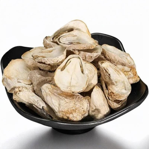 Croustilles de champignons prêtes à consommer, qualité supérieure, saveur umami naturelle, dorées et croustillantes, collation saine à base de plantes - Product Image 4