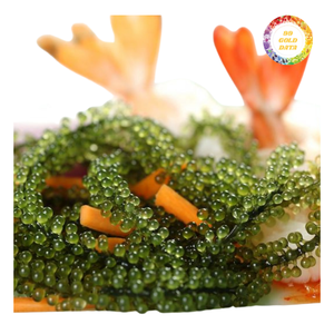 Uvas de Mar Naturales Cultivadas, Producto Fresco y Limpio - Product Image 1