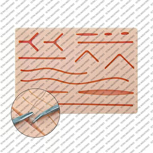 Kit d'entraînement à la suture et à la dissection, kit de pratique chirurgicale et anatomique, en promotion à prix avantageux - Product Image 3