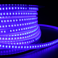 Nanoco Outdoor Led Strip 120 Chip Led IP65-2 Lijnen Smd 2835- 8W-Top 1 Landschapsverlichting In Vietnam
