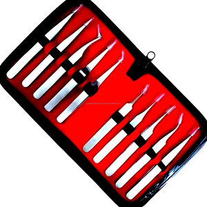 WORLD PRECISION SURGICAL Juego de 10 Pinzas de Precisión para Relojero, Kit de Instrumentos Manuales de Acero Inoxidable para Fisura Labial/Palatina - Product Image 1