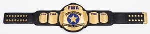 Cinturón de Campeonato de Cuero de Lujo con Placas Metálicas Premium para Lucha Libre, Boxeo, Premios Deportivos y Eventos - Product Image 2