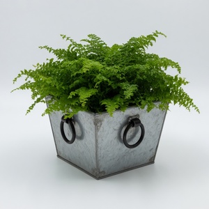 Iron Callahan Handmade Square Planter Galvanized Finish Garden Patio Decor; Rusty Indoor Flower <b>Pots</b> <b>Stand</b> Rusted Planter Holder - Product Image 2