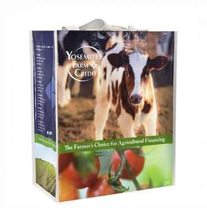 OEM/ODM Tote <b>Bag</b> Custom Printed Eco-Friendly <b>Zipper</b> Shoulder Vietnam PP Woven <b>Bag</b> Webbing Tubular <b>Bag</b> Custom <b>Shopping</b> <b>Bags</b> - Product Image 4