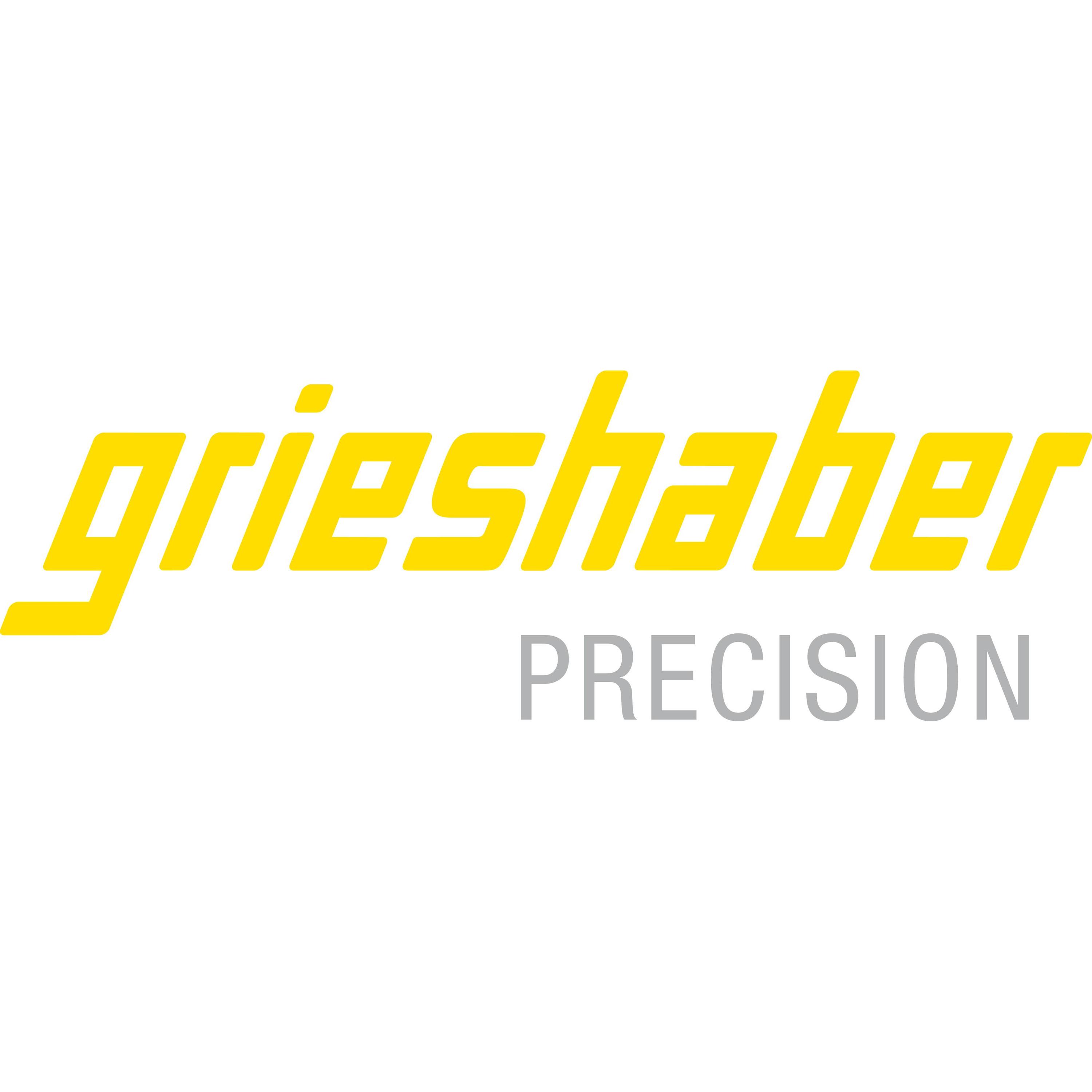Grieshaber GmbH & Co.KG logo
