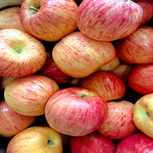 Pomme rouge de Kashmir fraîche de qualité supérieure, saveur naturelle et sucrée, qualité export, 70-85mm, 95-100% mûre, Aaradhya 60-90 - Product Image 3