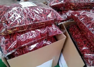 พริกแห้งพรีเมียม – พริกแดงเผ็ดธรรมชาติ ส่งออกจากเวียดนาม - Product Image 4