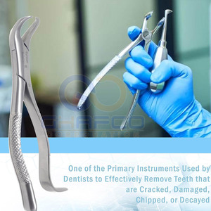 Nuevas Pinzas de Extracción Dental de Acero Inoxidable, Pinzas de Extracción Dental de Venta Caliente - Product Image 5