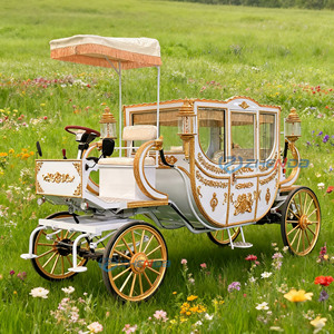 Carruaje Real con Caballos, Limusina, Vehículo Eléctrico, Carroza Real con Caballos/Carroza Eléctrica para Turismo - Product Image 1