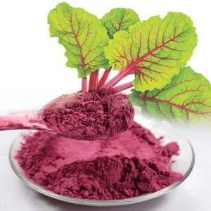 FACTORY SUPPLY ORGANIC RED BEETROOT JUICE POWDER WITH COMPETITIVE PRICE - Product Image 5