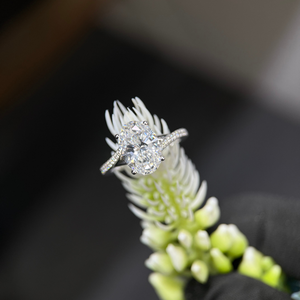 Bague de fiançailles en or 14 carats avec diamant ovale de 3,50 carats, taille D VVS2, cultivé en laboratoire, halo caché pavé, certifiée IGI - Product Image 1