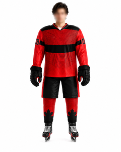 Maillot de hockey sur glace personnalisé en polyester pour adultes, unisexe, à manches longues, avec nom et numéro personnalisés - Product Image 1