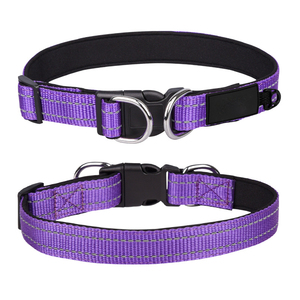 Collares para Perro Reflectantes Nocturnos de Nylon Ajustables con Logo Personalizado, Venta Directa de Fábrica Imra Impex Premium 2026, para Todas las Estaciones - Product Image 4