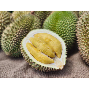 ทุเรียนสดเนื้อเหลืองธรรมชาติแท้จากเวียดนาม ราคาถูก รสชาติเข้มข้น ปลูกได้ในพื้นที่เขตร้อนและกึ่งเขตร้อน - Product Image 1