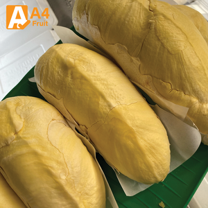 Durian Monthong Biologique Frais Sucré Crémeux 500g Qualité Supérieure Stockage Réfrigéré Vente en Gros Durée de Conservation 14 Jours Grade A - Product Image 2