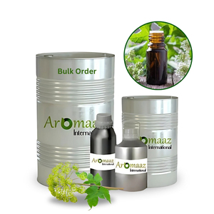 Hydrolat de feuilles d'angélique naturel, fabricant d'hydrolat d'angélique pour l'aromathérapie et les soins de la peau - Product Image 4