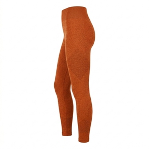 Leggings de sport sans couture pour femmes, taille haute, pour entraînement, yoga, fitness, gym, course à pied, vêtements de sport - Product Image 2