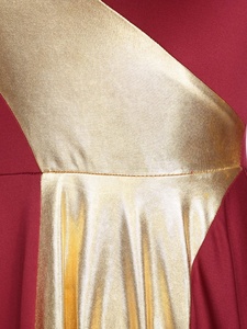 Costume de danse de scène pour femmes Training Dancewear Ballroom Contemporary Internship Lyrical Dance Dresses - Product Image 4