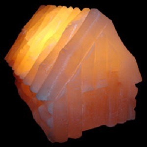 Mushroom Shape Himalayan Salt Lamp Mushroom Shape Himalayan Pink Rock Salt Lamp 100%Organic Hand Curved Led Light For Decoration - Product Image 5