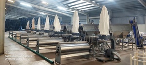 TTQ Cashew Processing Plant 30 Tons Per Day Raw Cashew Nut Line White Kernel Food Grade SS Ho <b>Chi</b> Minh City Manufacturer 380V - Product Image 2