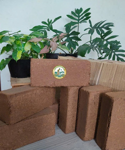 Eco2go Vietnam Bloc de tourbe de coco compressé pour jardinage, support de culture naturel, léger et organique, idéal pour la plantation de fleurs et les plantes à forte consommation d'eau - Product Image 5