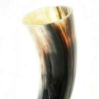 Corne de combat authentique SCI War Horn, corne à boire viking en corne de buffle polie naturelle, de Star Crafts India